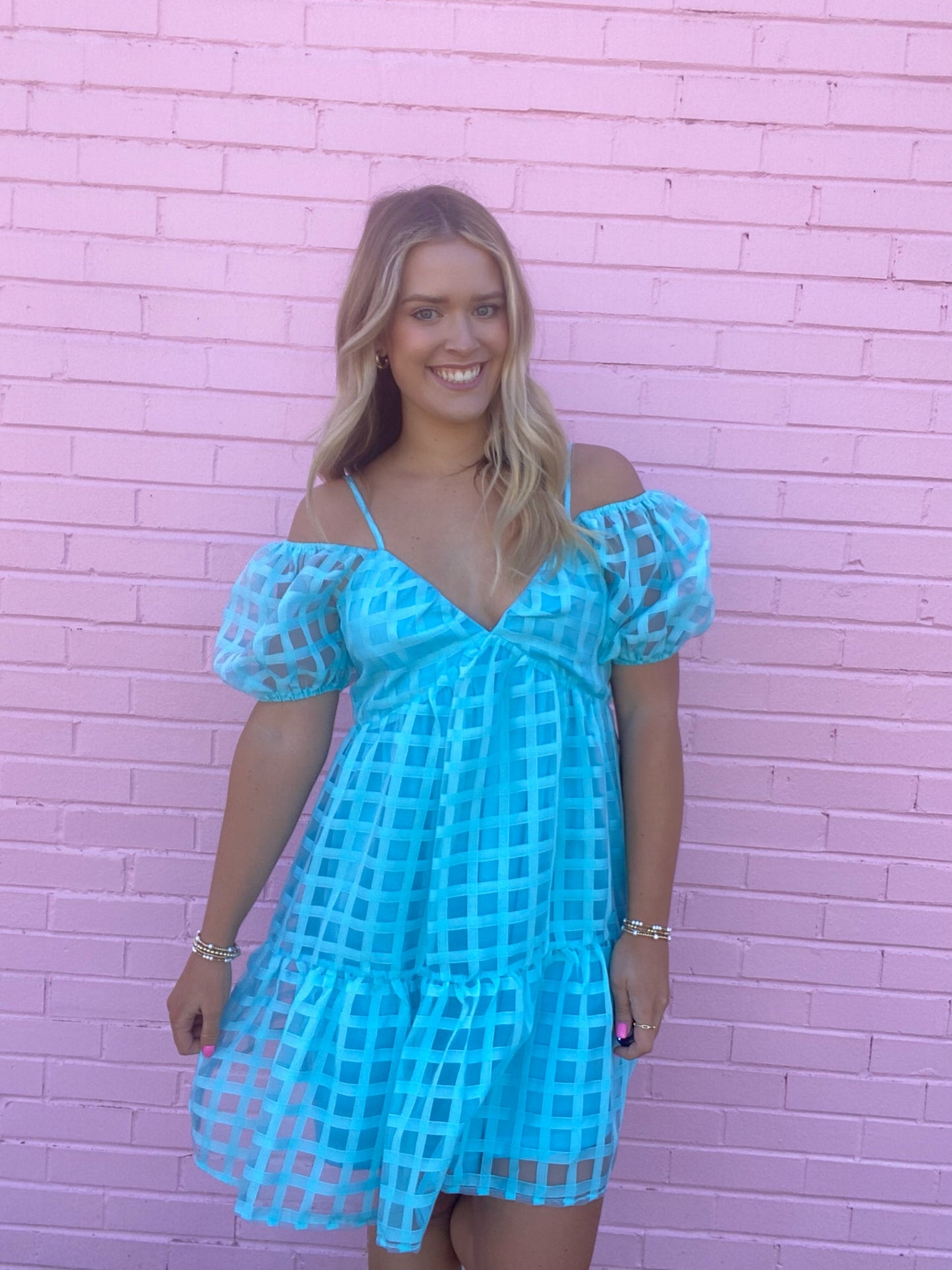Blue Gingham Overlay Dress