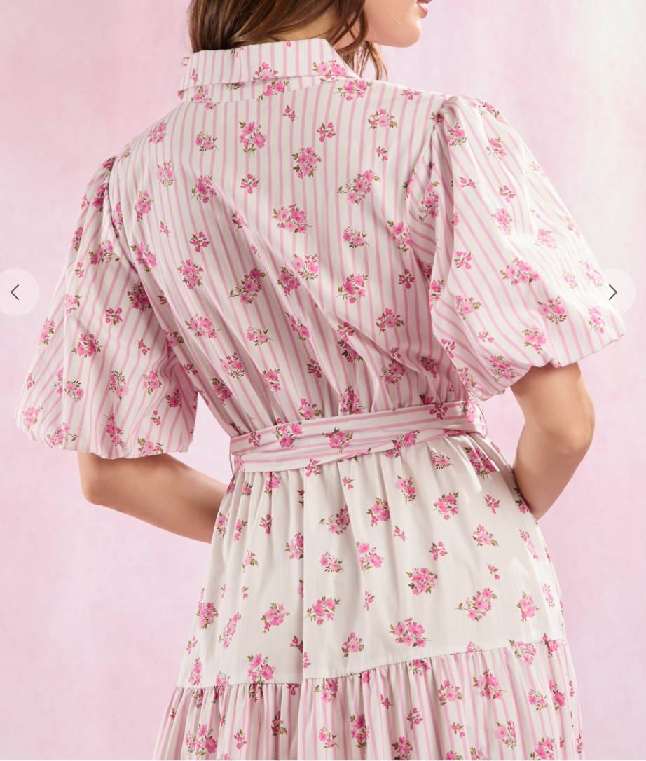 Poplin Stripe and Floral Midi Dress