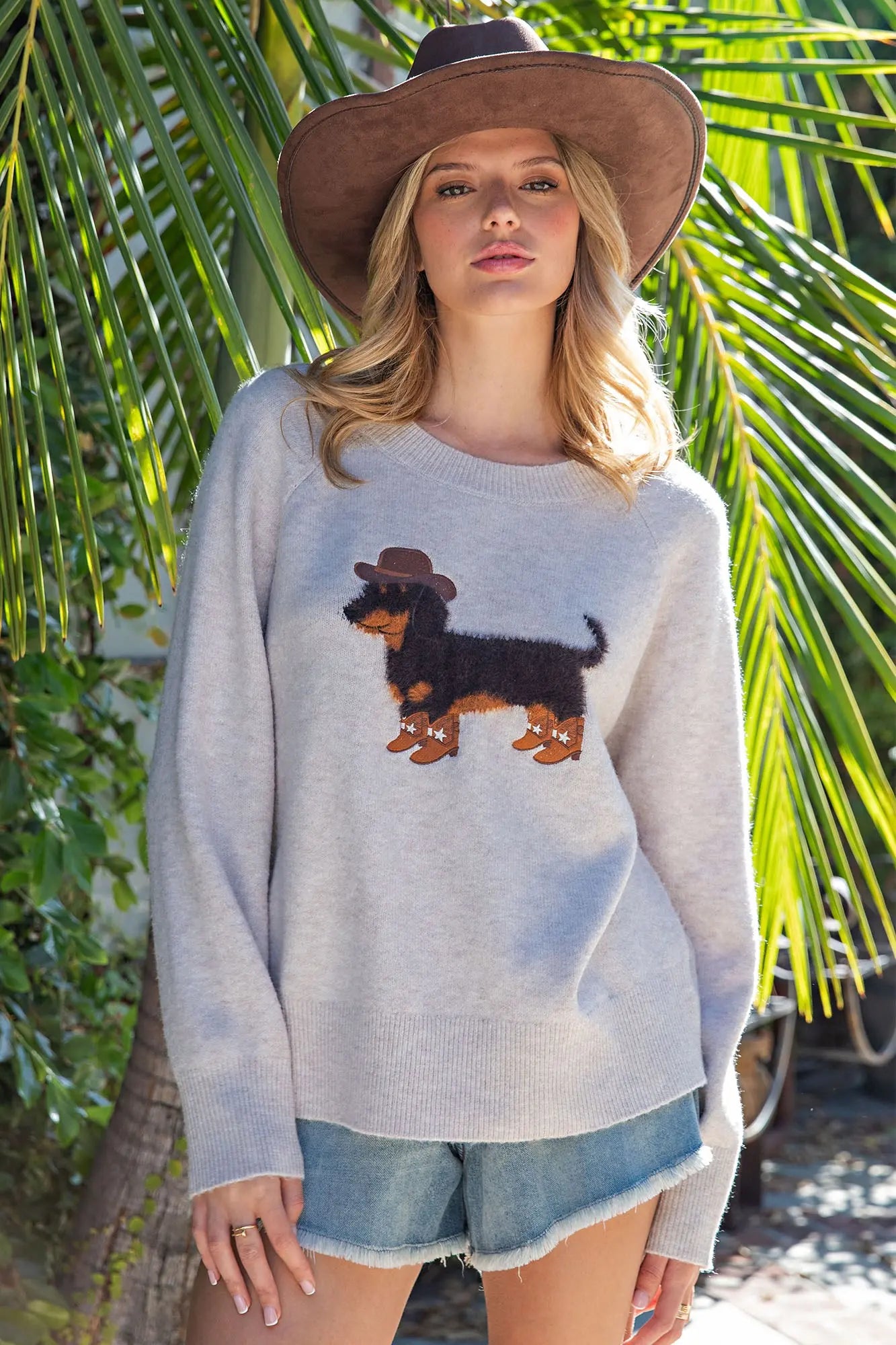Cowboy Dachshund Sweater