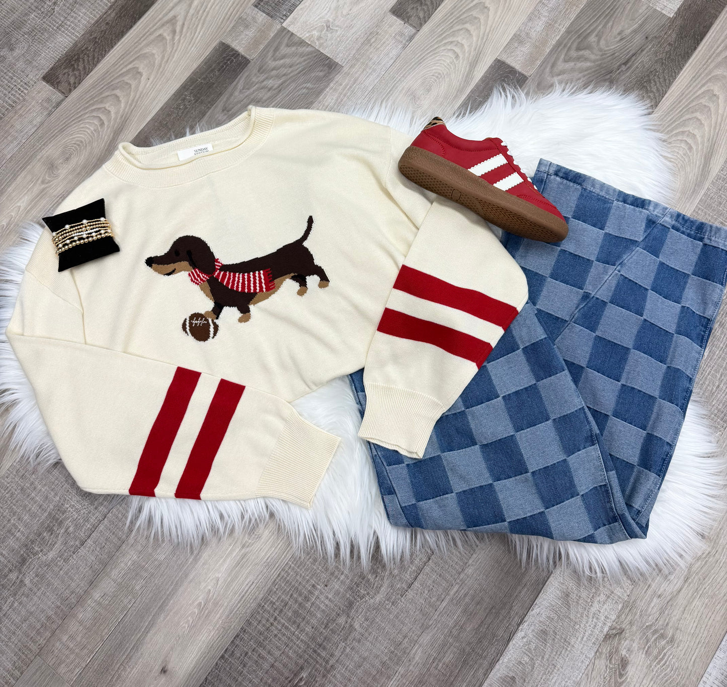Game Day Dachshund