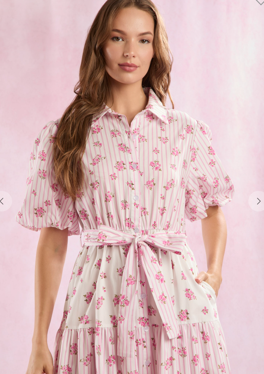 Poplin Stripe and Floral Midi Dress